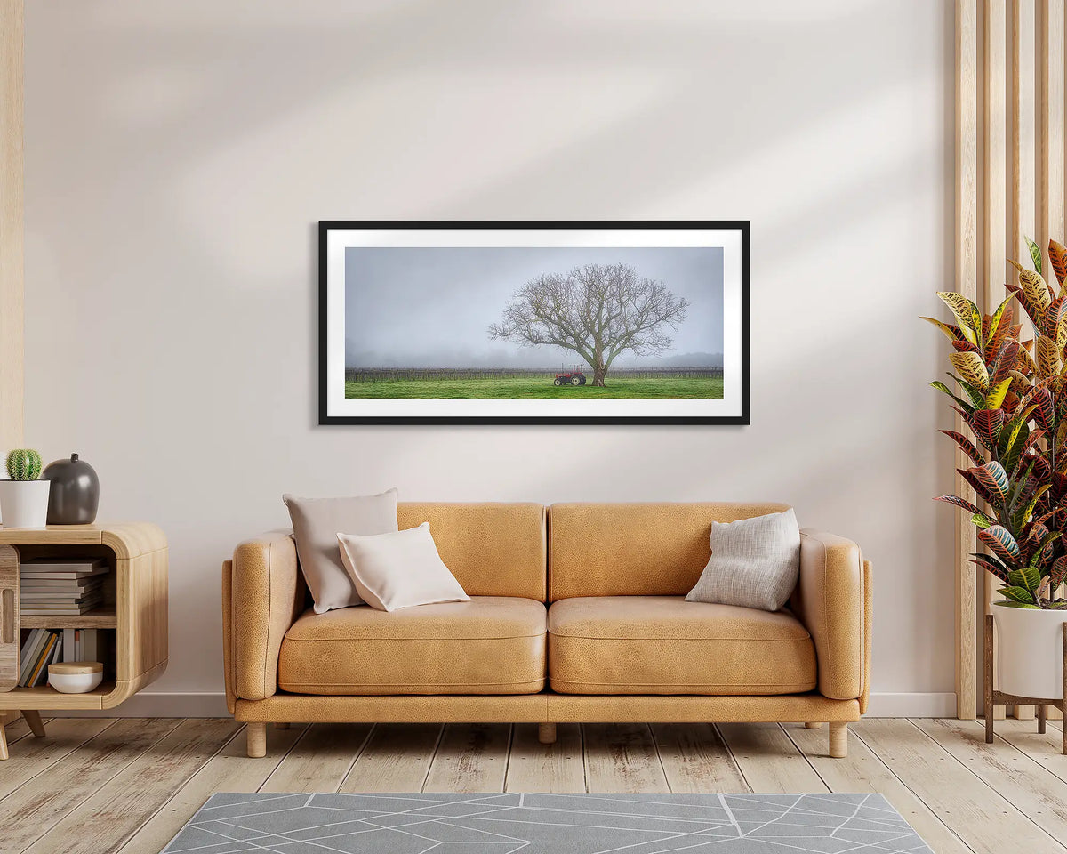 Amongst the Vines. Wall art print of a winery in fog, with a black frame, hung above a leather couch. 