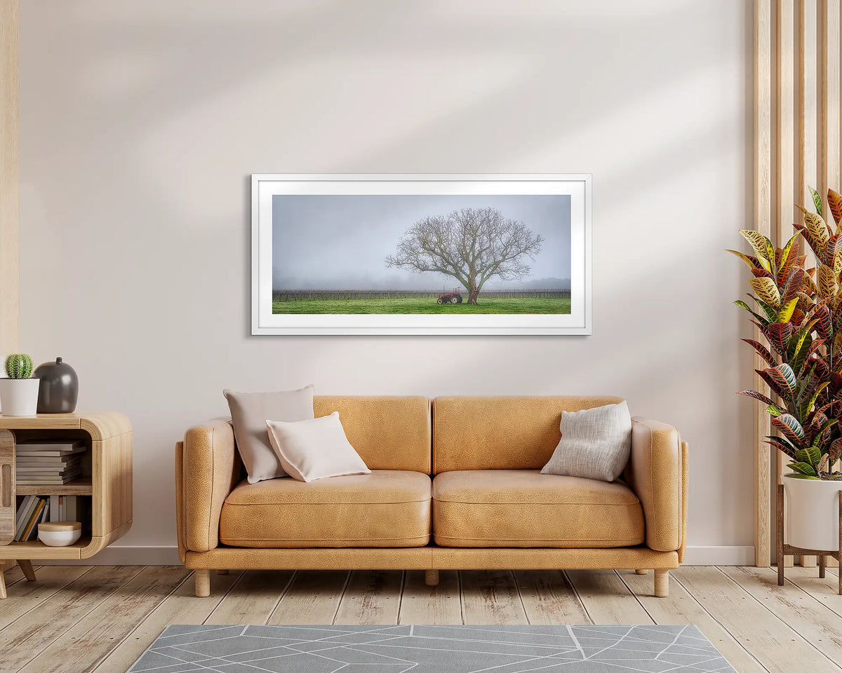 Amongst the Vines. Wall art print of a winery in fog, with a white frame, hung above a leather couch. 