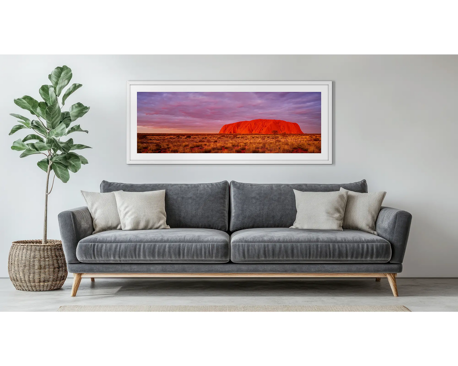 Australian Icon. Uluru sunset, Northern Territory, Australia.