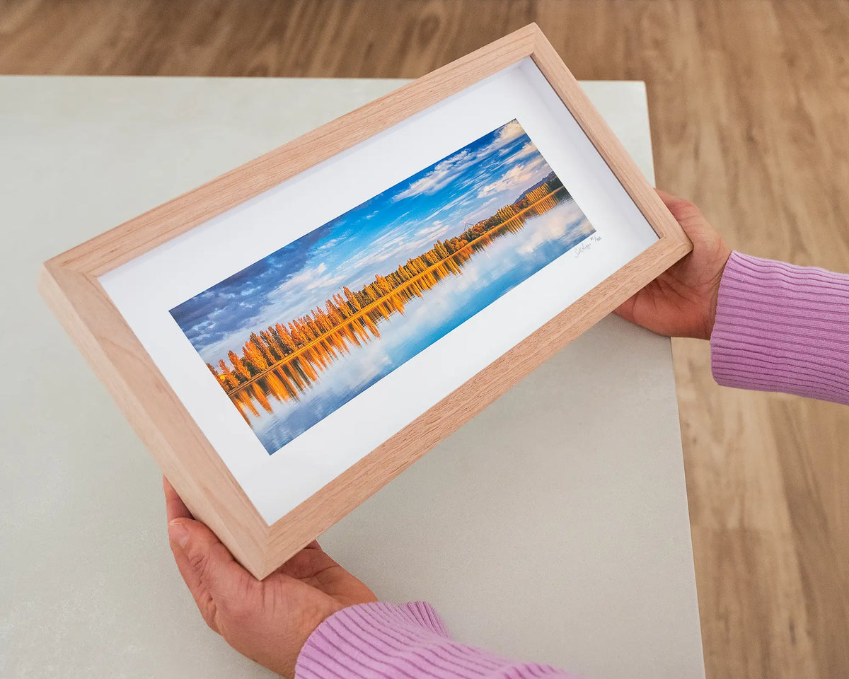 Autumn By The Lake. Small print with timber frame of autumn trees lining Lake Burley Griffin, Canberra, held in hands.