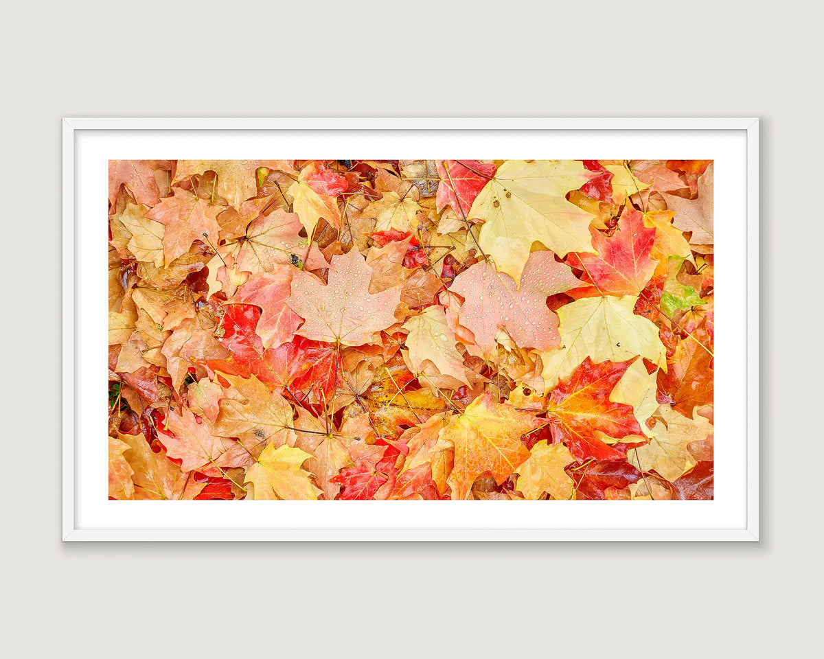 Framed abstract photograph of autumn leaves.