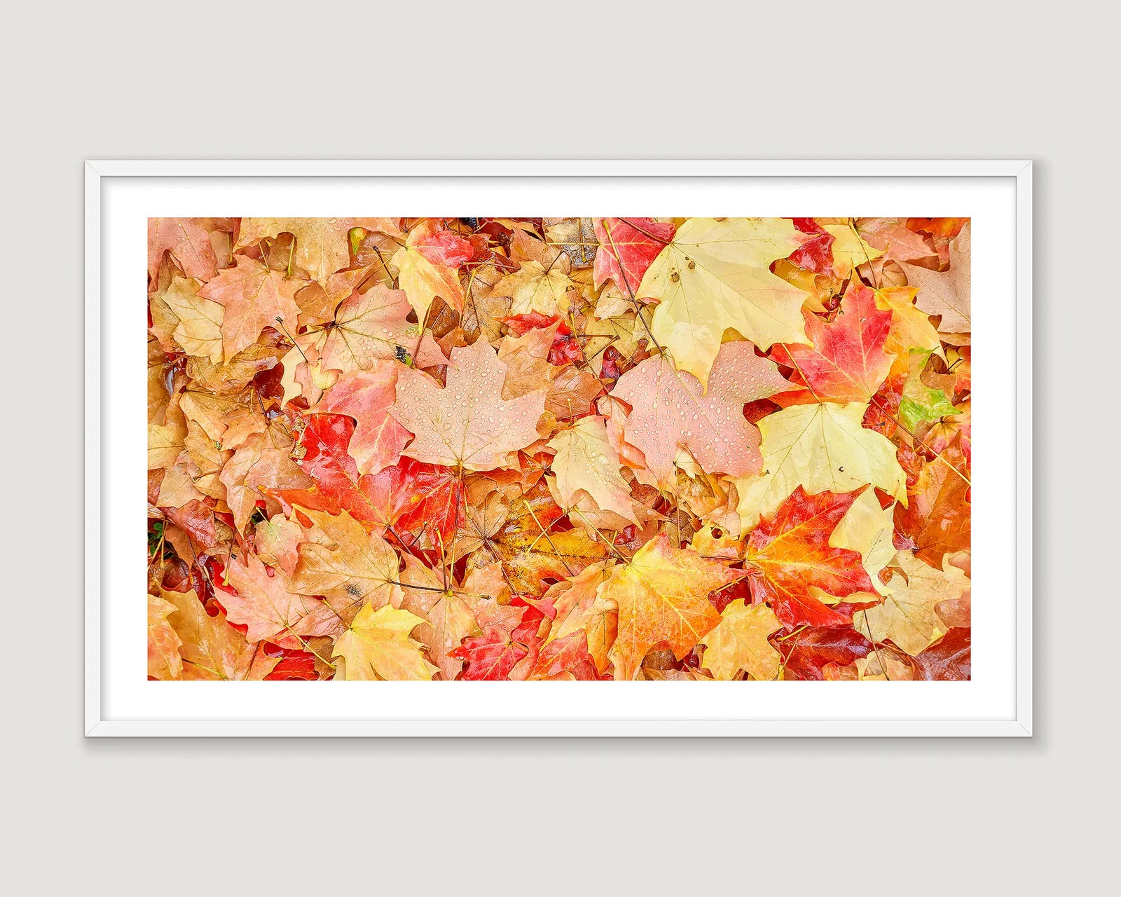 Framed abstract photograph of autumn leaves.