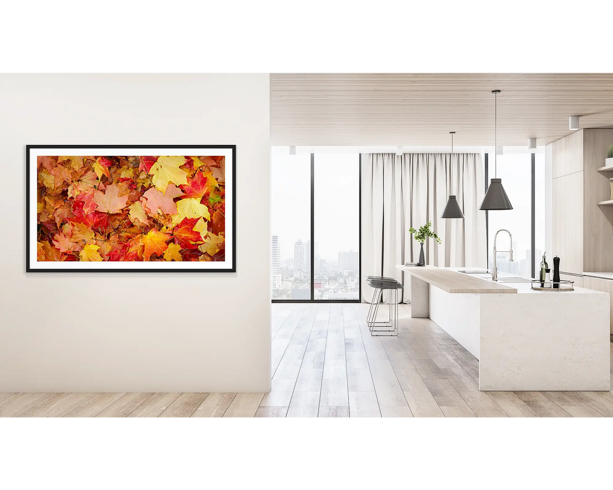 Autumn Layers. Wall art print of autumn leaves in Bright, Victoria, framed with a black frame, and hung outside a light filled kitchen. 