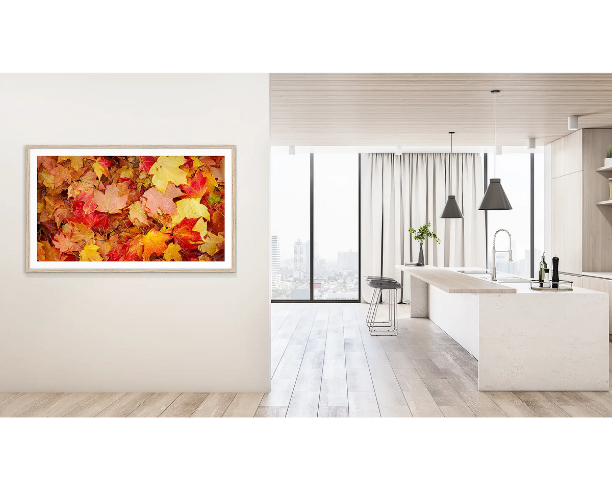 Autumn Layers. Wall art print of autumn leaves in Bright, Victoria, framed with a Tasmanian Oak frame, and hung outside a light filled kitchen. 