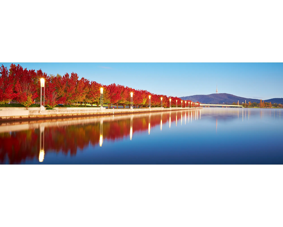 Red autumn trees beside Lake Burley Griffin at sunrise. 
