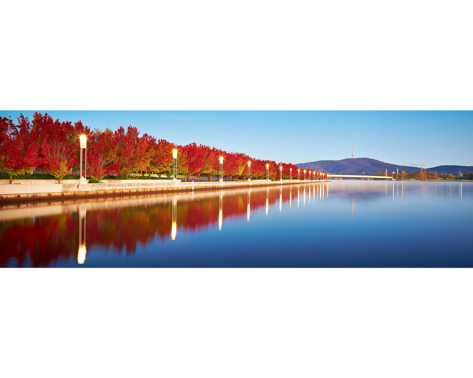 Autumn Sunrise. Red autumn trees beside Lake Burley Griffin, Canberra.