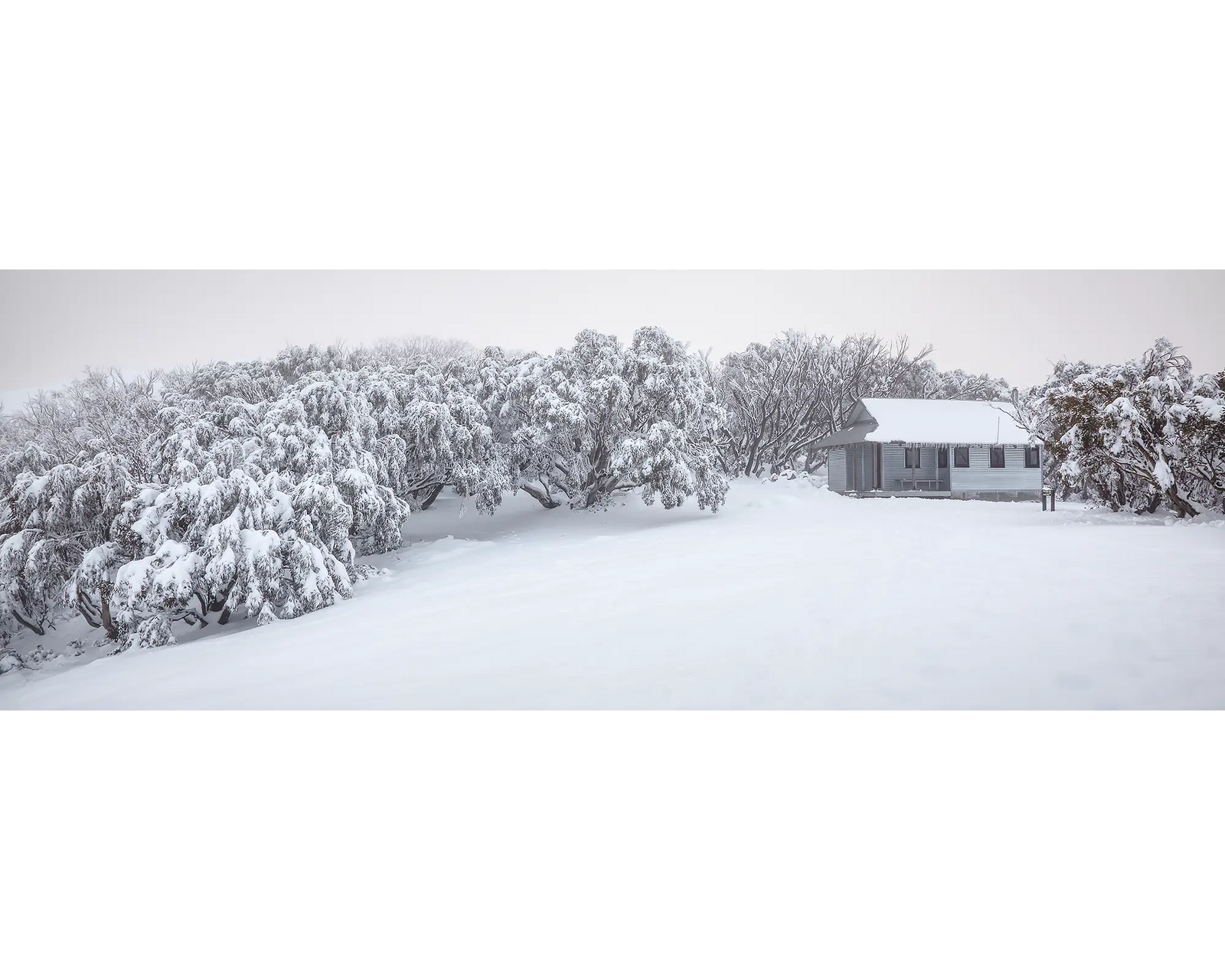 Awaken. Fresh snow around Federation Hut, Alpine National Park.