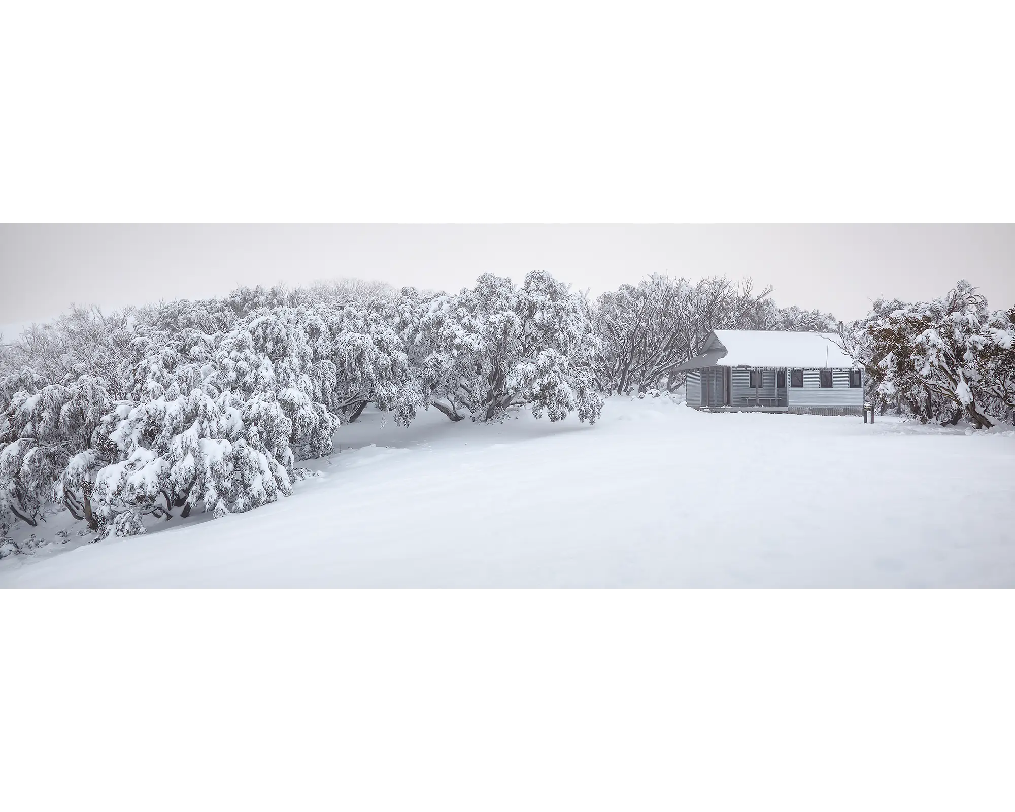 Awaken. Fresh snow around Federation Hut, Alpine National Park.