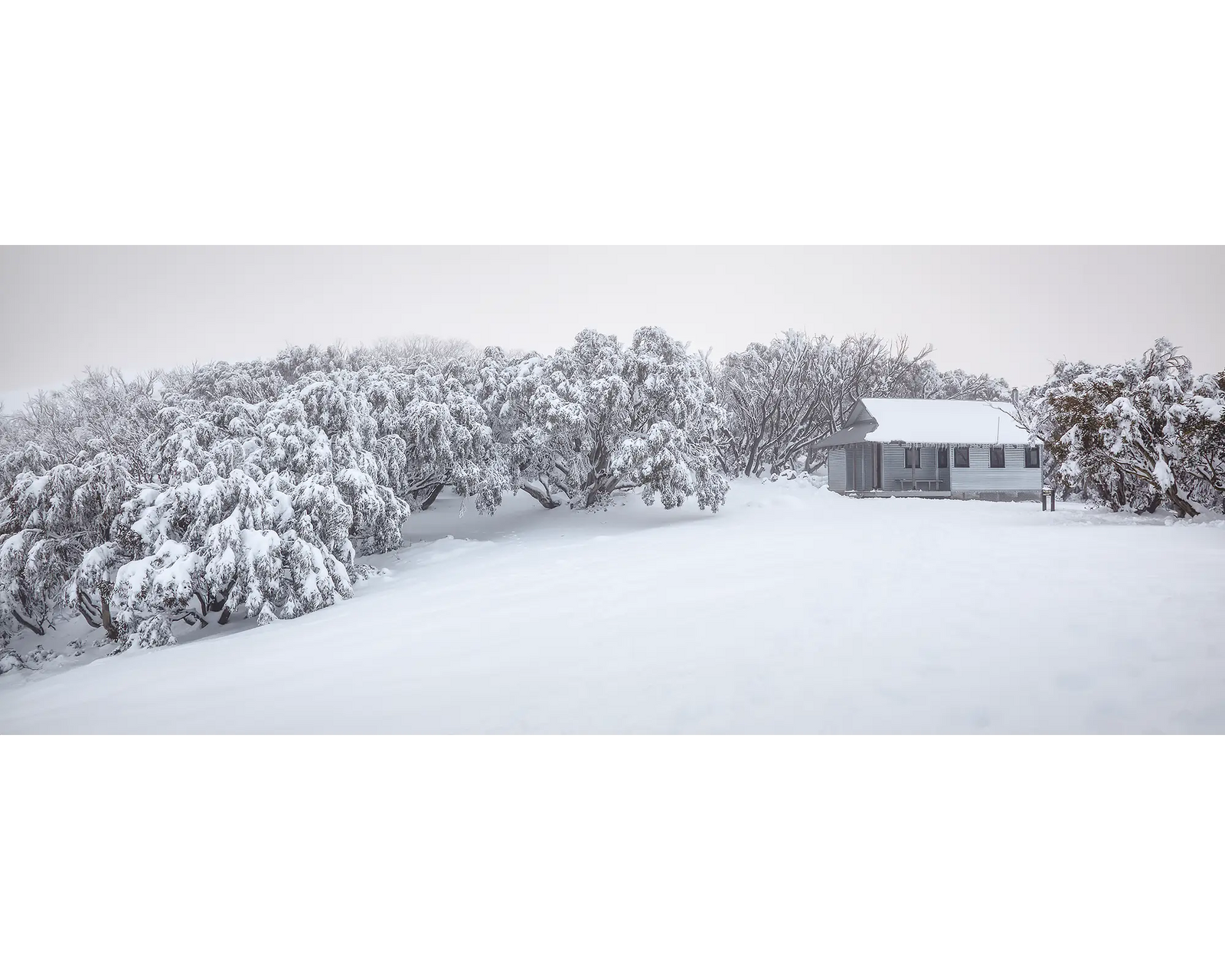 Awaken. Fresh snow at Federation Hut, Mount Feathertop, Alpine National Park.