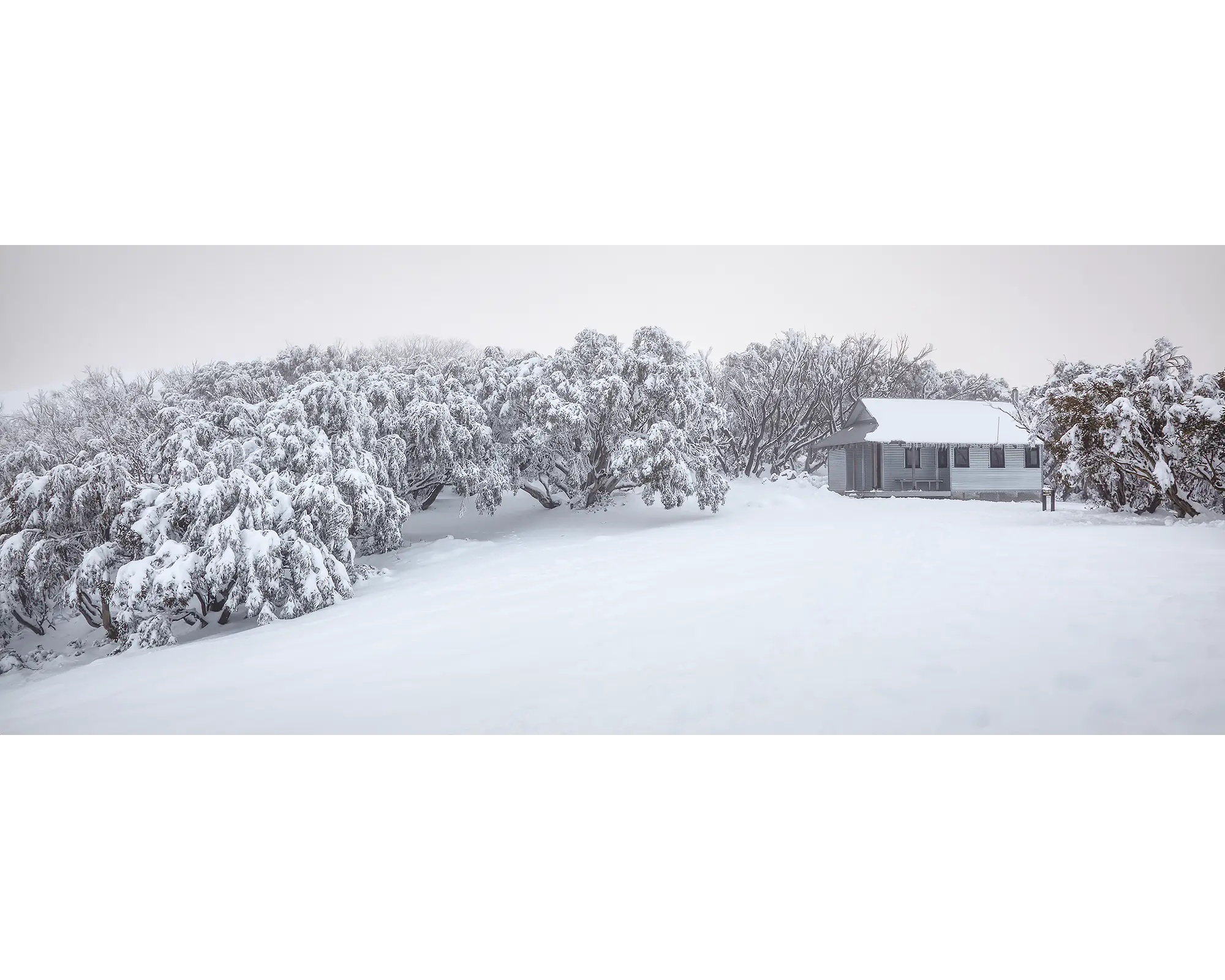 Awaken. Fresh snow at Federation Hut, Mount Feathertop, Alpine National Park.