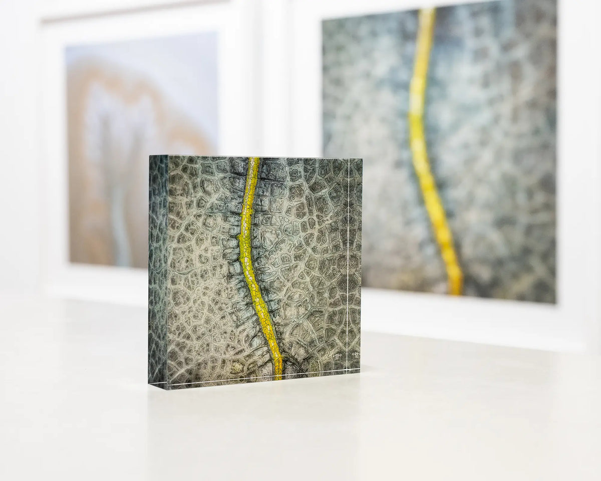 Backbone. Acrylic block abstract aerial artwork on gallery desk.