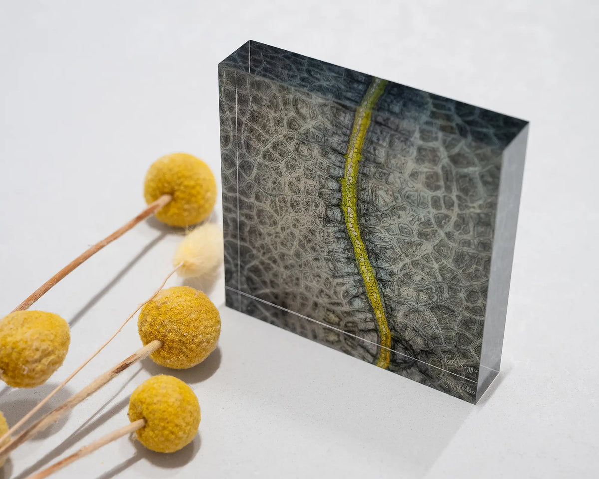 Backbone. Acrylic block abstract aerial artwork styled with yellow flowers.
