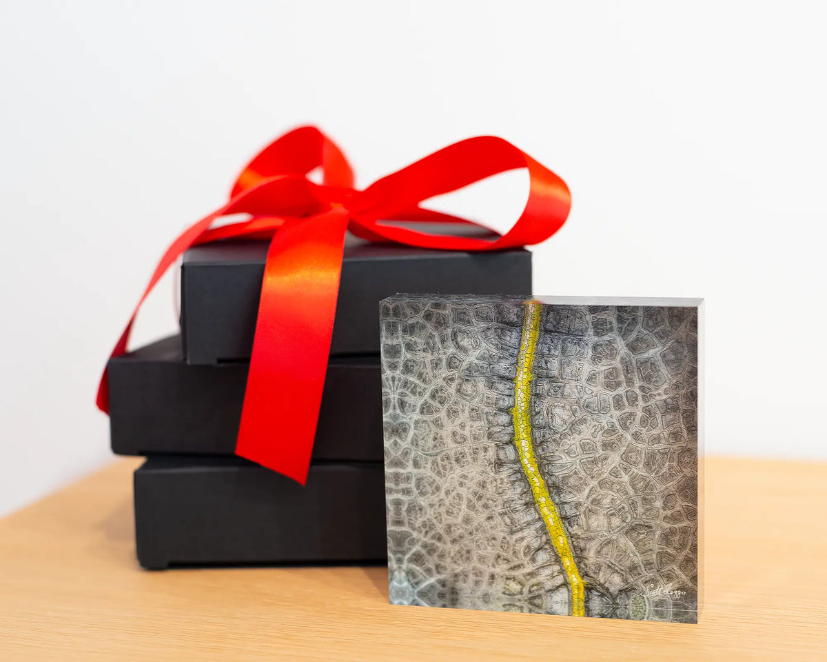 Backbone acrylic block with gift wrapping.