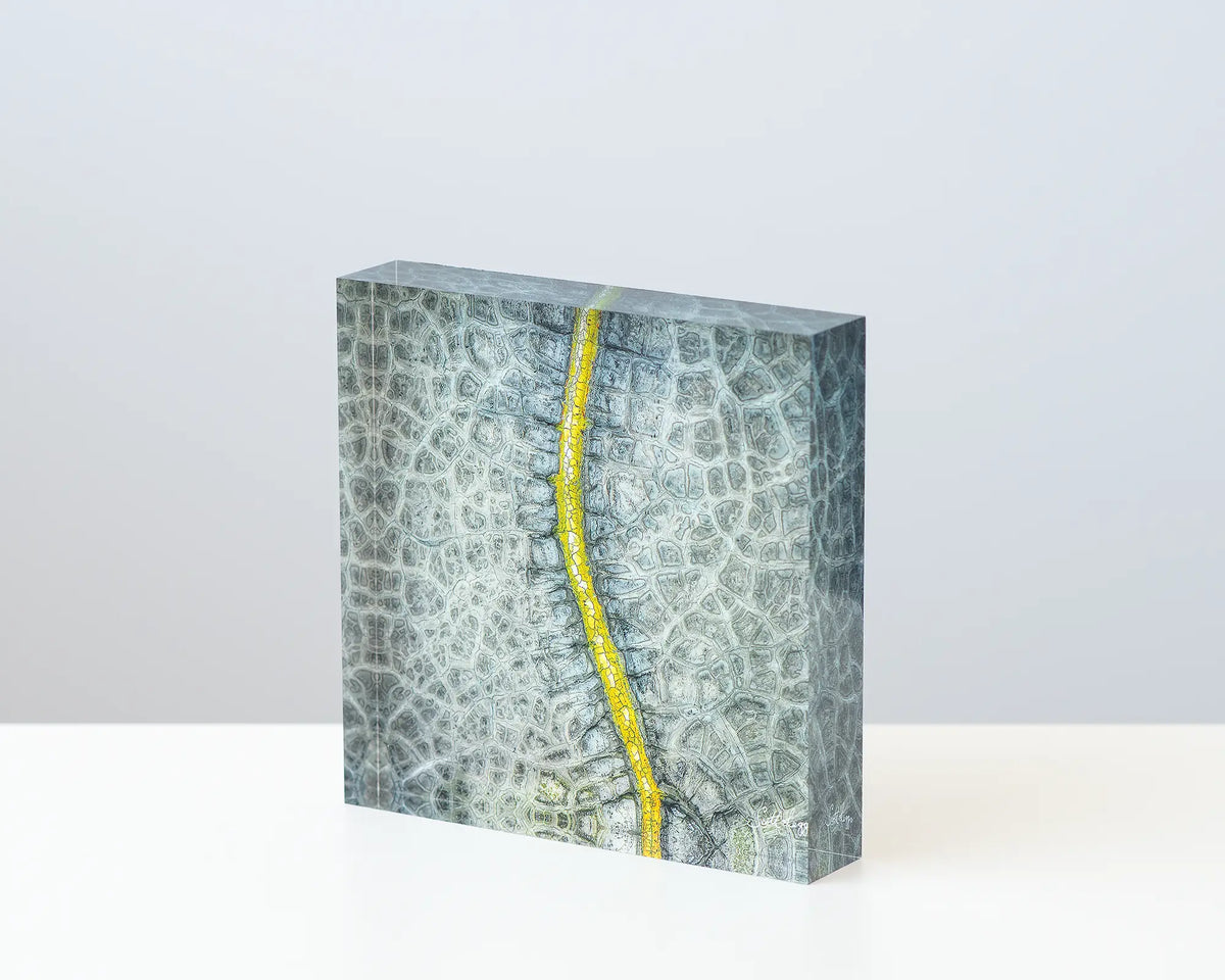 Backbone - aerial abstract artwork 10cm acrylic block sitting on desk.