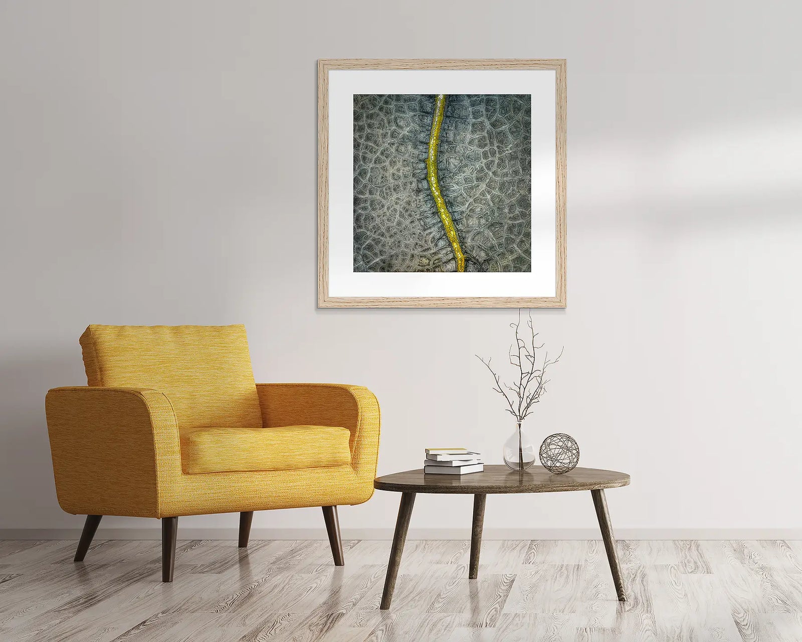 Backbone. Dried out dam, New South Wales, Australia.