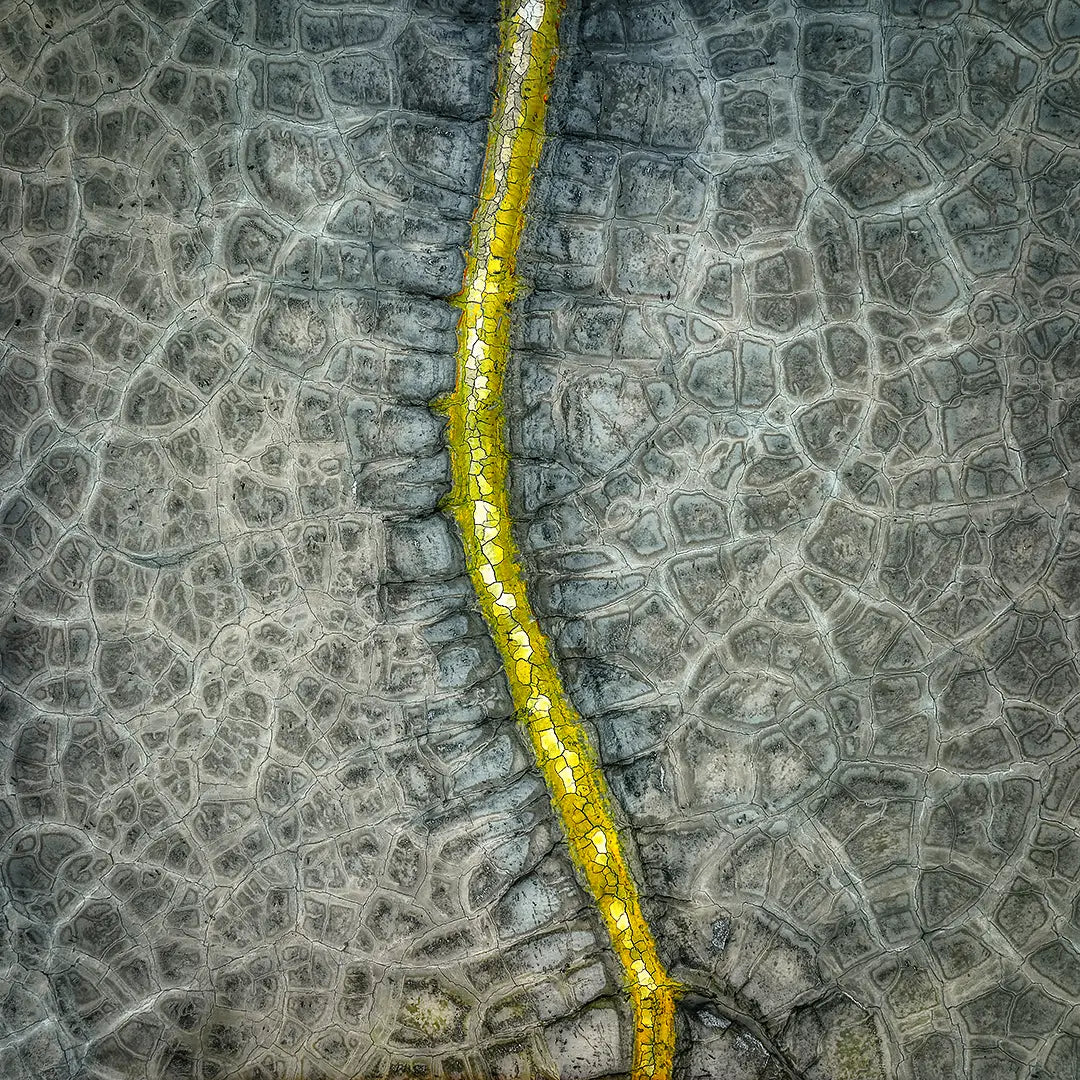 Backbone - dried out dam in New South Wales