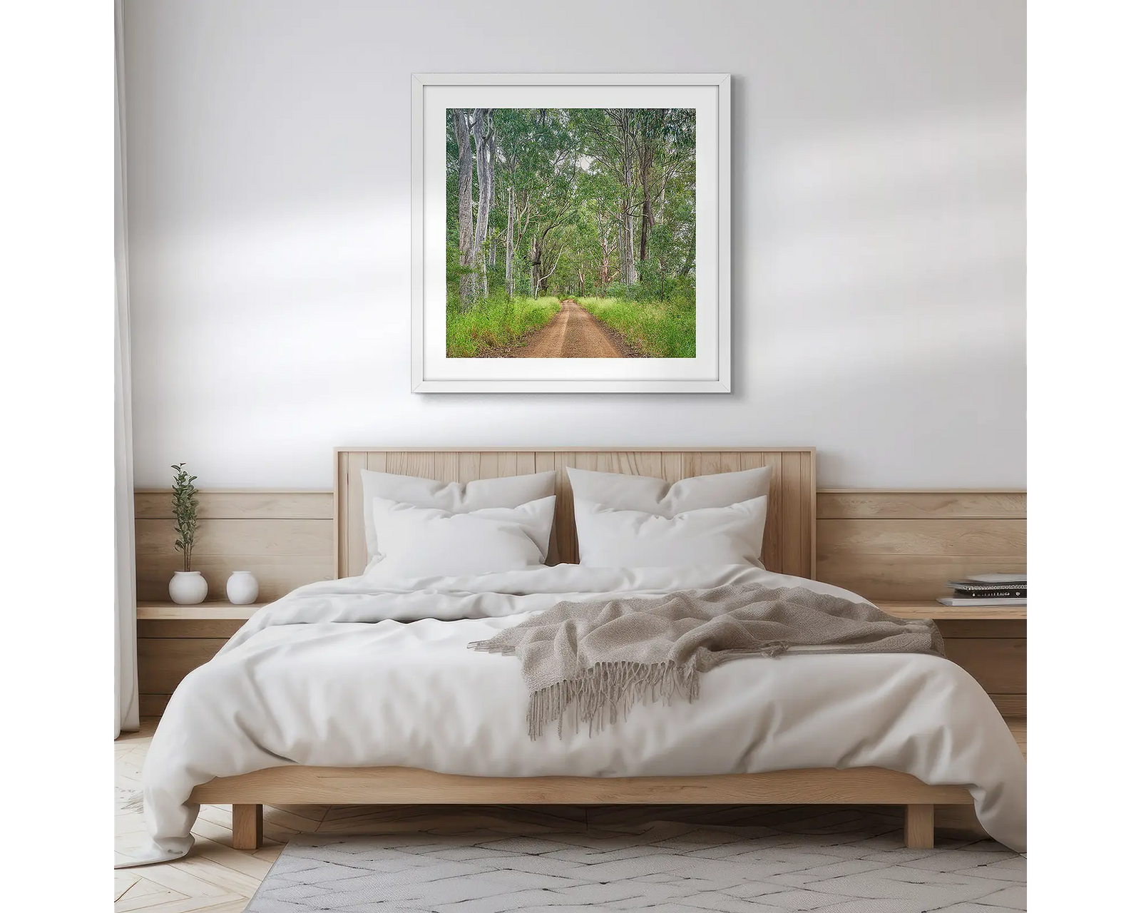 Backroad. Tall gum trees either side of a dirt road in the Hunter Valley 