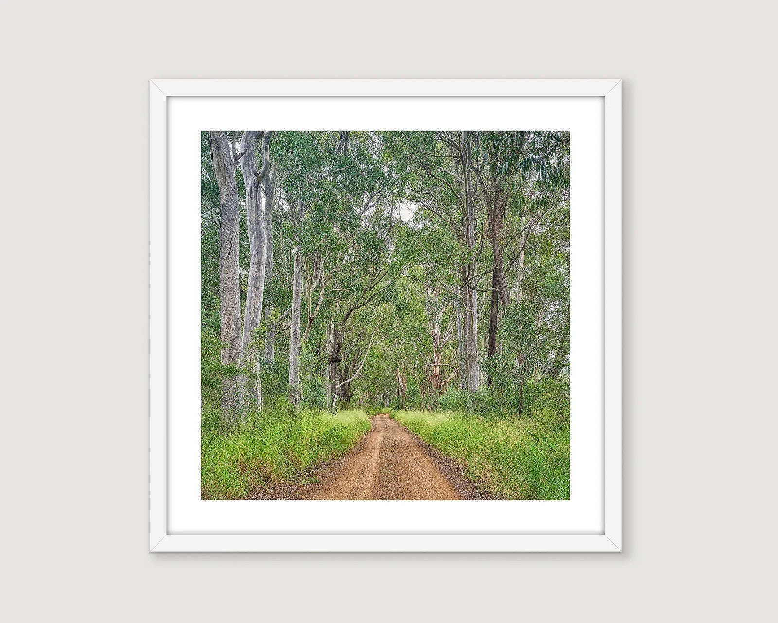 Framed print of a dirt road winding through a bush setting in the Hunter Valley. 