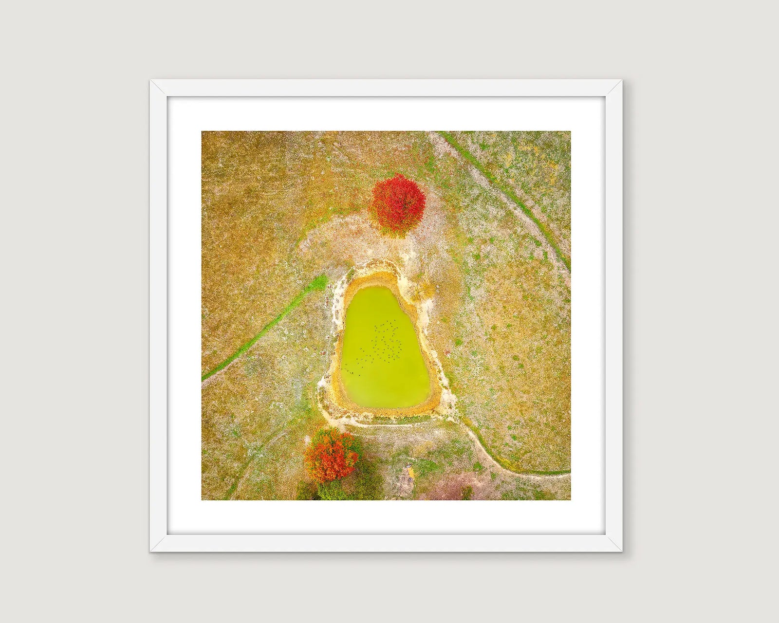 Framed photographic print of an abstract scene of a farm dam with deciduous trees turning red in autumn. 