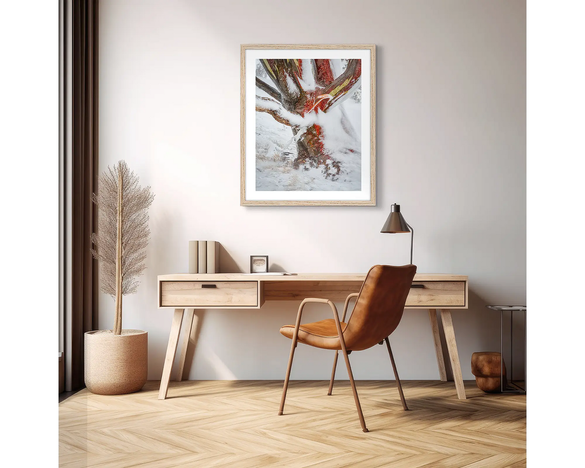 Battered. Wall art print of a snow gum covered in snow and ice, framed in a timber frame and hung above a small wooden desk. 