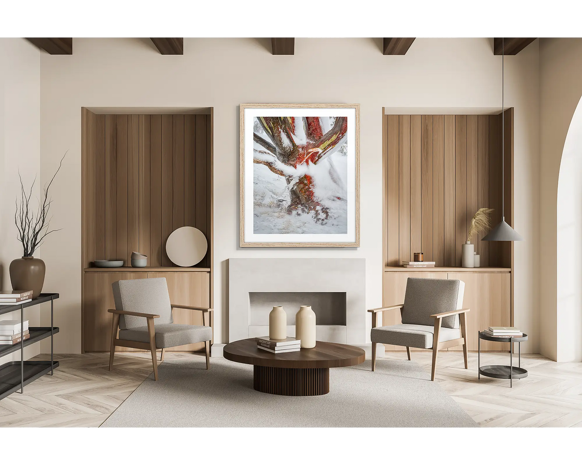 Battered. Wall art print of a snow gum covered in snow and ice, framed in a timber frame and hung in a ski lodge. 