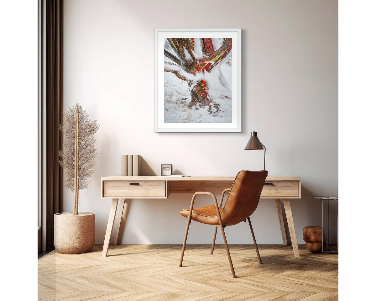 Battered. Wall art print of a snow gum covered in snow and ice, framed in a white frame and hung above a small wooden desk. 