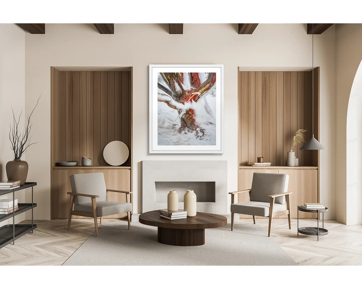 Battered. Wall art print of a snow gum covered in snow and ice, framed in a white frame and hung in a ski lodge. 