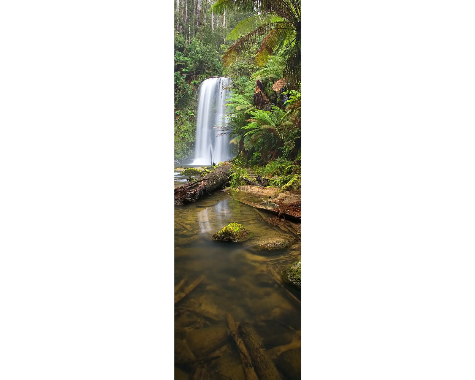 Beauchamp Falls, Great Otway National Park, Victoria, Australia.