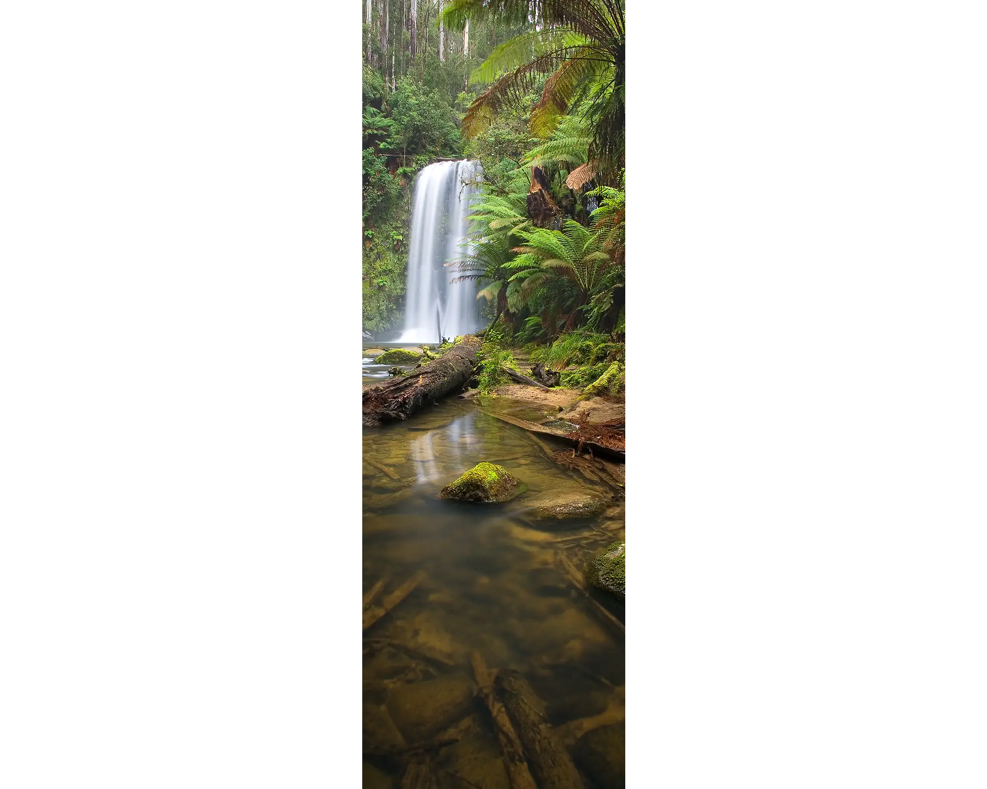 Beauchamp Falls, Great Otway National Park, Victoria, Australia.