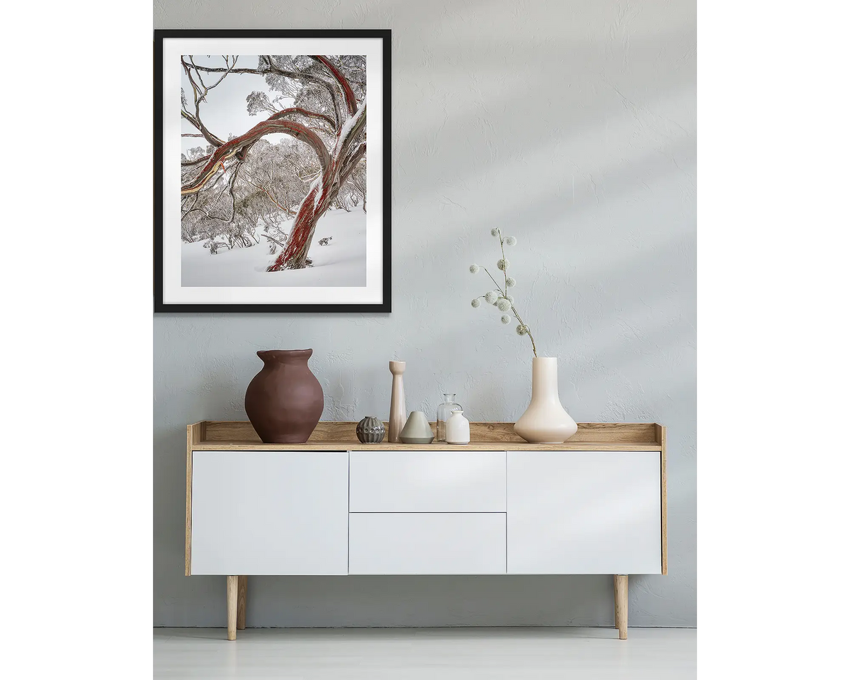 Bent. Wall art print with a black frame, hung above a side table, featuring a snow gum with red bark in snow, Kosciuszko National Park. 
