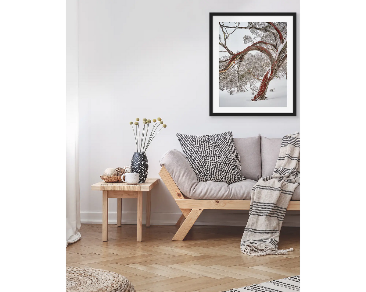 Bent. Wall art print with a black frame, hung in a living room, featuring a snow gum with red bark in snow, Kosciuszko National Park. 