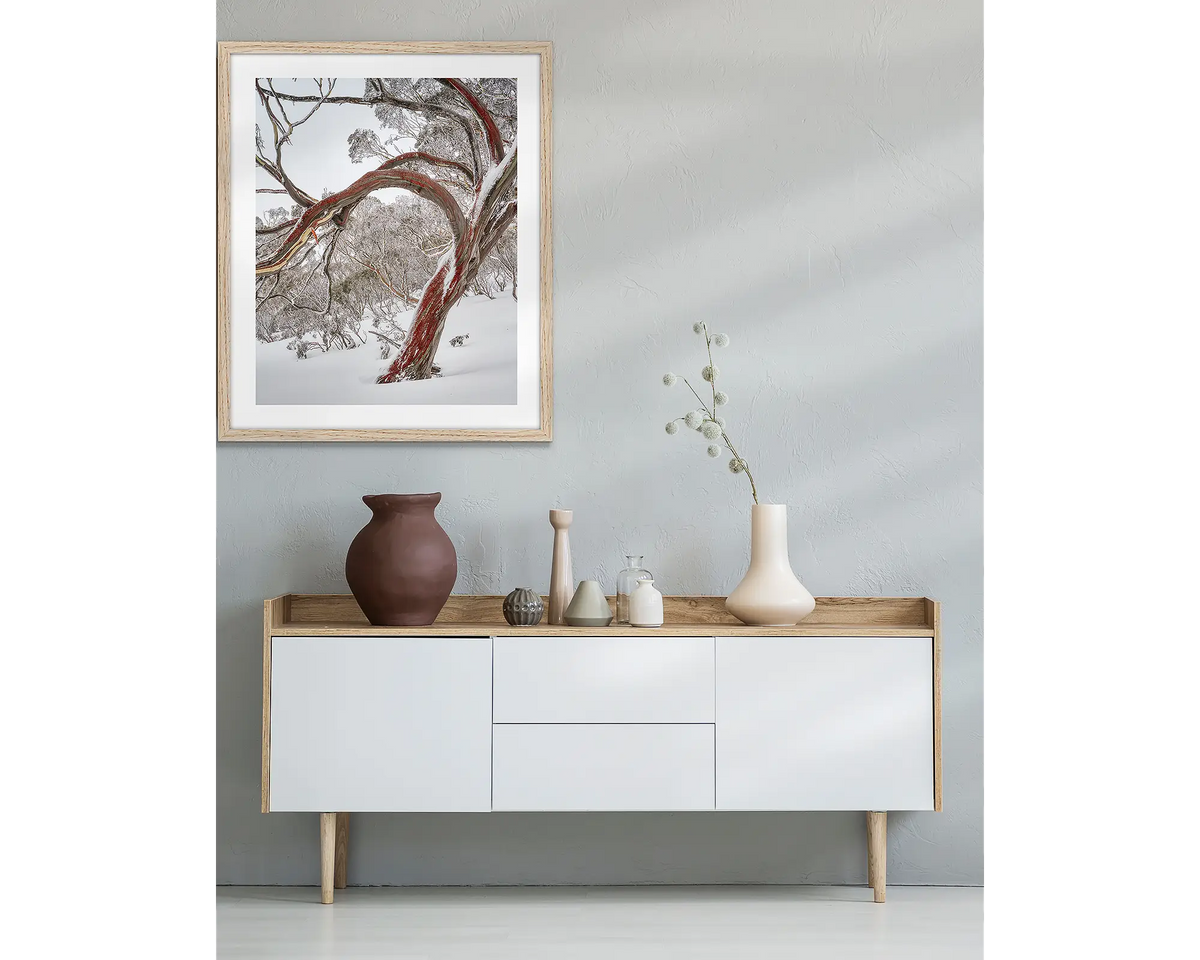 Bent. Wall art print with a timber frame, hung above a side table, featuring a snow gum with red bark in snow, Kosciuszko National Park. 