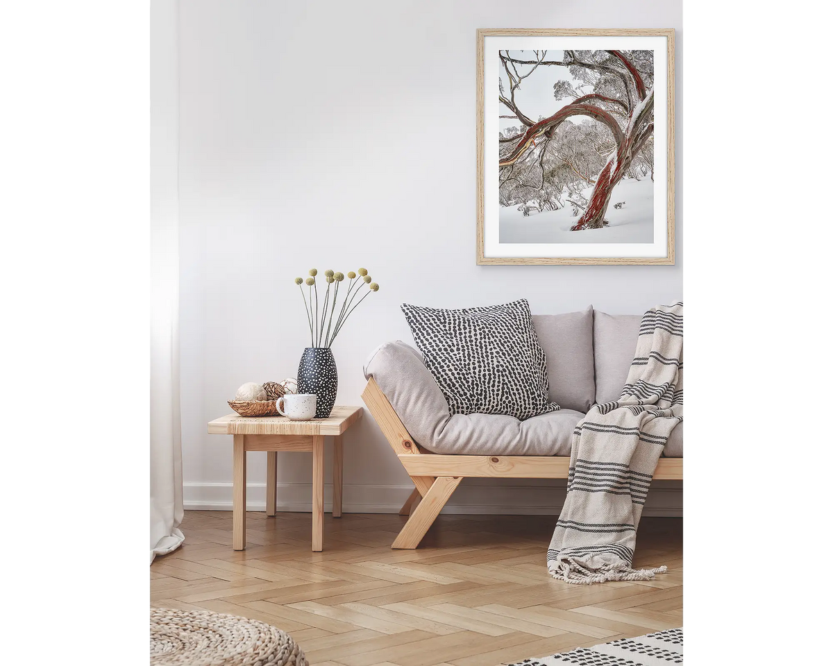 Bent. Wall art print with a timber frame, hung in a living room, featuring a snow gum with red bark in snow, Kosciuszko National Park. 