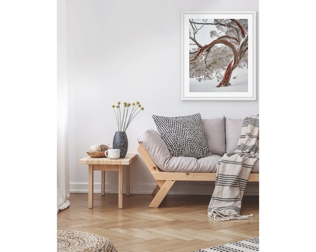 Bent. Wall art print with a white frame, hung in a living room, featuring a snow gum with red bark in snow, Kosciuszko National Park. 