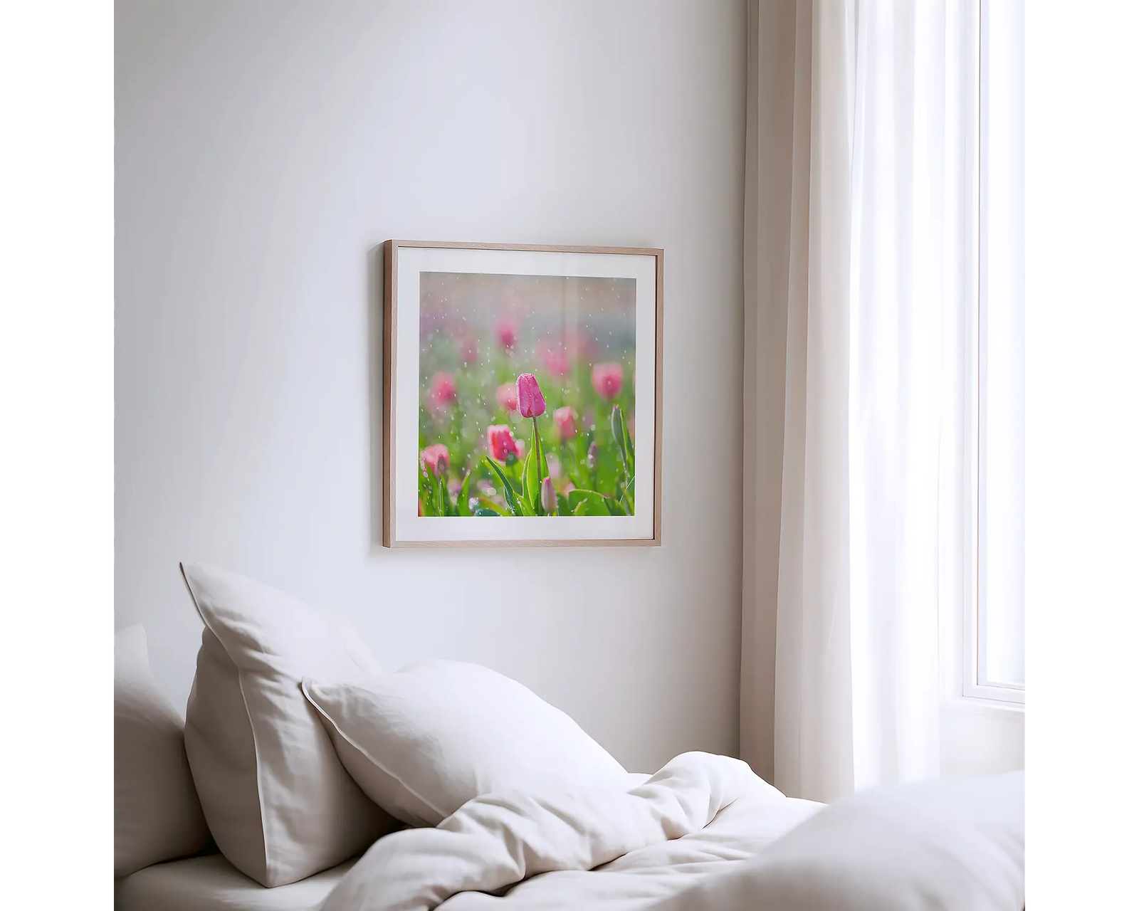 Framed wall art print of rain drops on pink tulips at Floriade. 