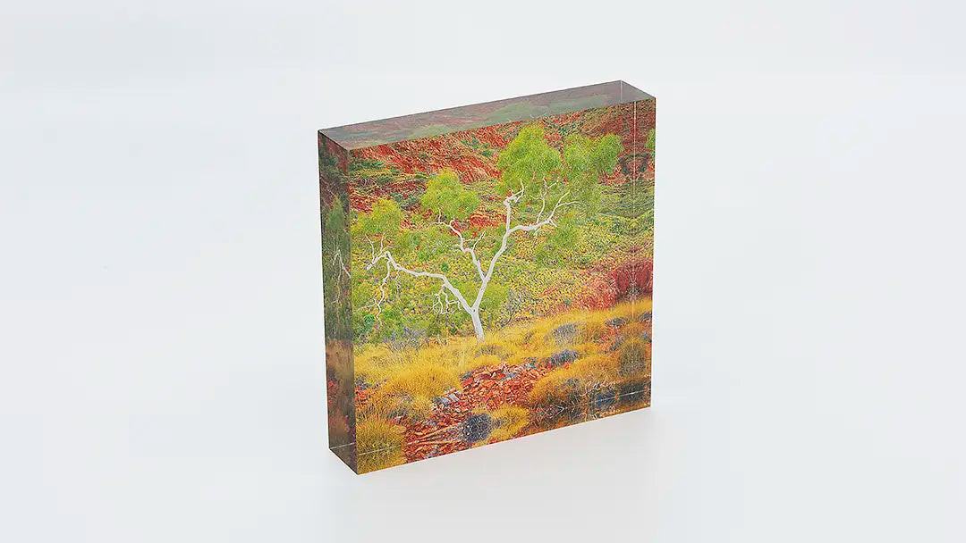 Branches of Life acrylic block collection. Australian Artwork.