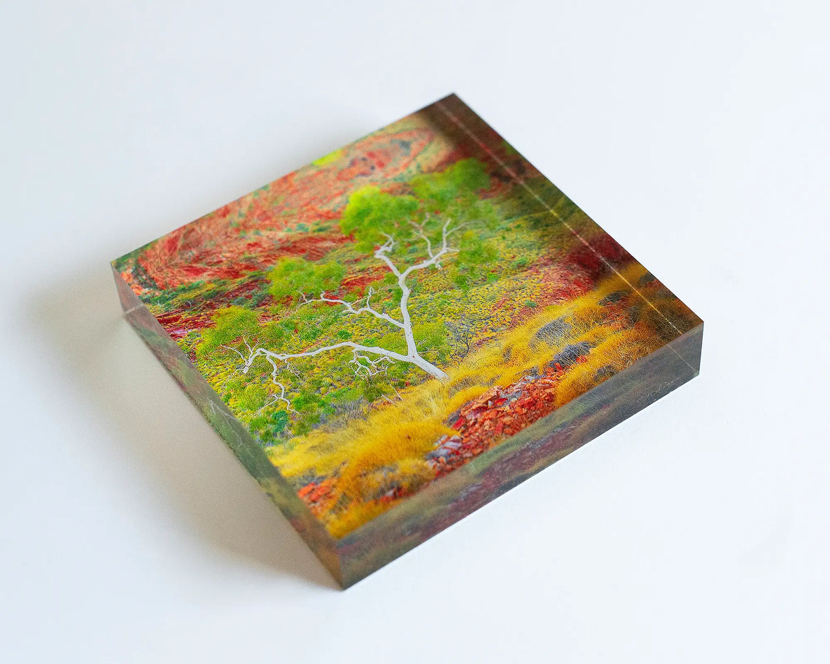 Branches Of Life acrylic block - Ghost Gum artwork laying on desk.