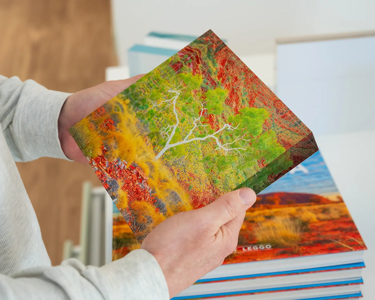 Branches Of Life. Acrylic block of a ghost gum, West Macdonnell Ranges, hand held in gallery.