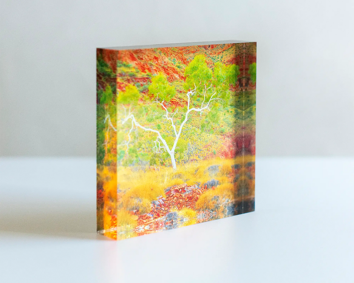 Branches Of Life acrylic block sitting on desk.