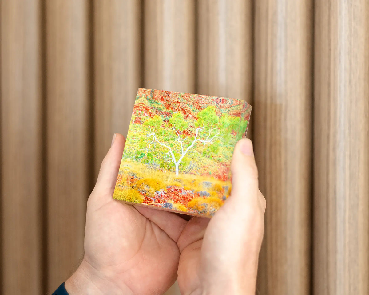 Branches Of Life - Ghost Gum Northern Territory acrylic block being held in hand.