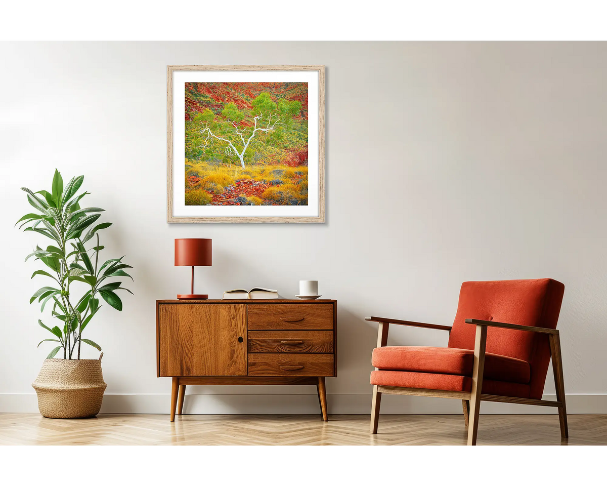 Branches of Life. Outback artwork in a timber frame, in a retro-styled interior. 