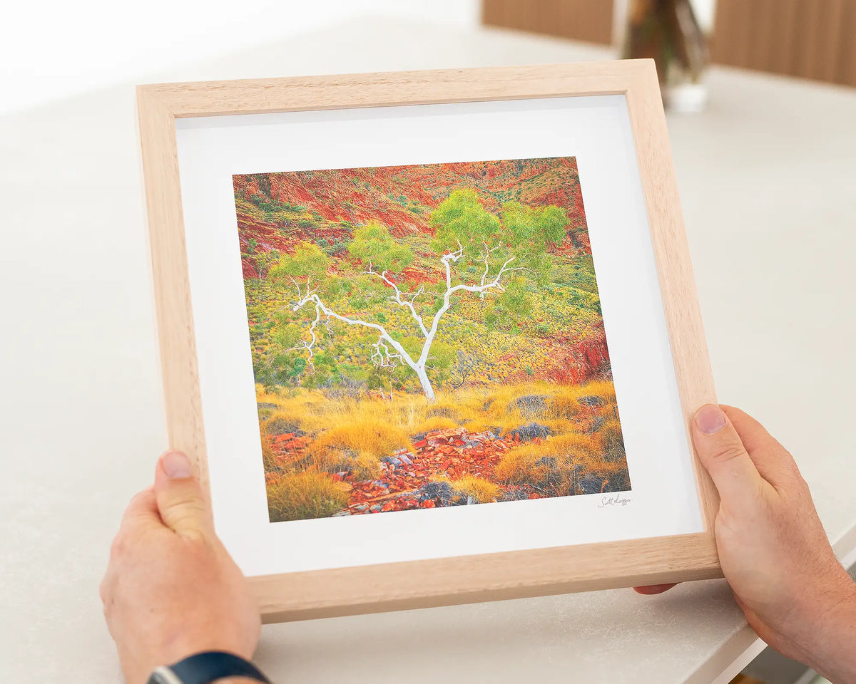 Branches Of Life. Outback artwork, small framed print with Tasmanian Oak frame.