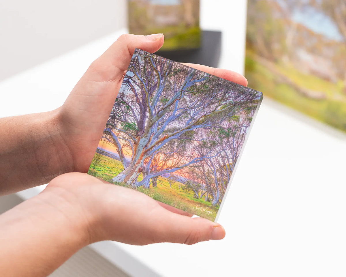 Branching Out snow gum artwork - 10cm acrylic block being held in hand.