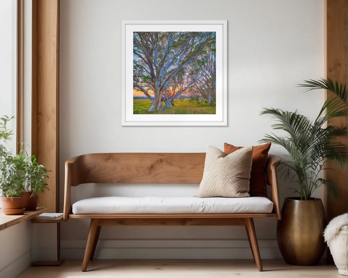 Branching Out. White framed, snow gum wall art print, hung in a scandi-themed waiting area. 