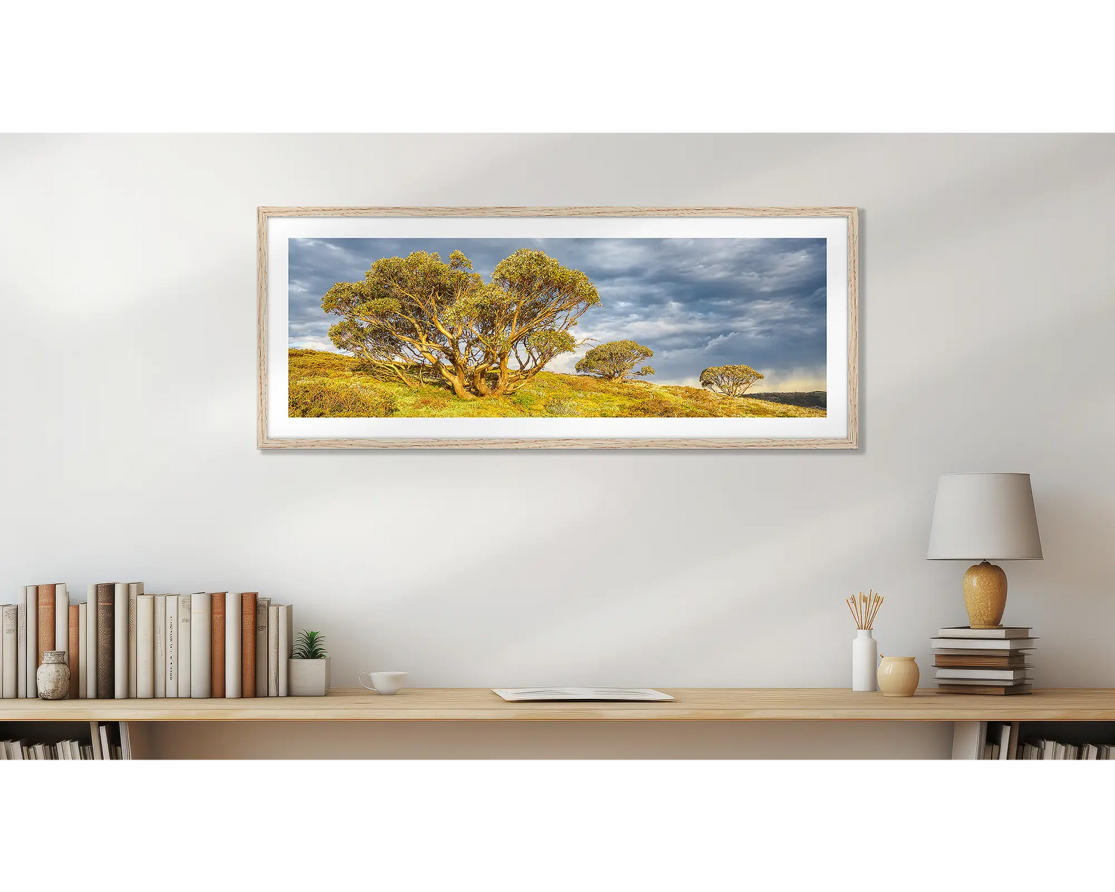 Braving the Elements - Summer. Snow gums, Mount Hotham, Alpine National Park, Victoria, Australia.