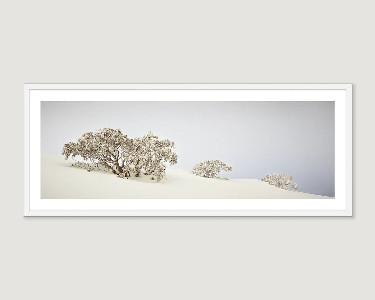 Framed wall art print of a trio of snow gums in heavy snow on Mount Hotham. 