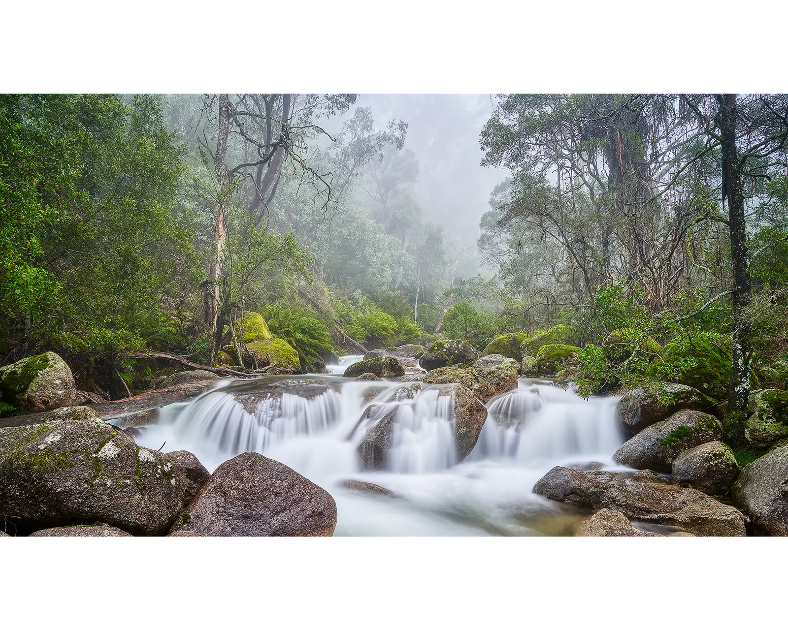 Buffalo Cascade. Fog over a waterfall, Eurobin Creek, Mount Buffalo National Park, Victoria.