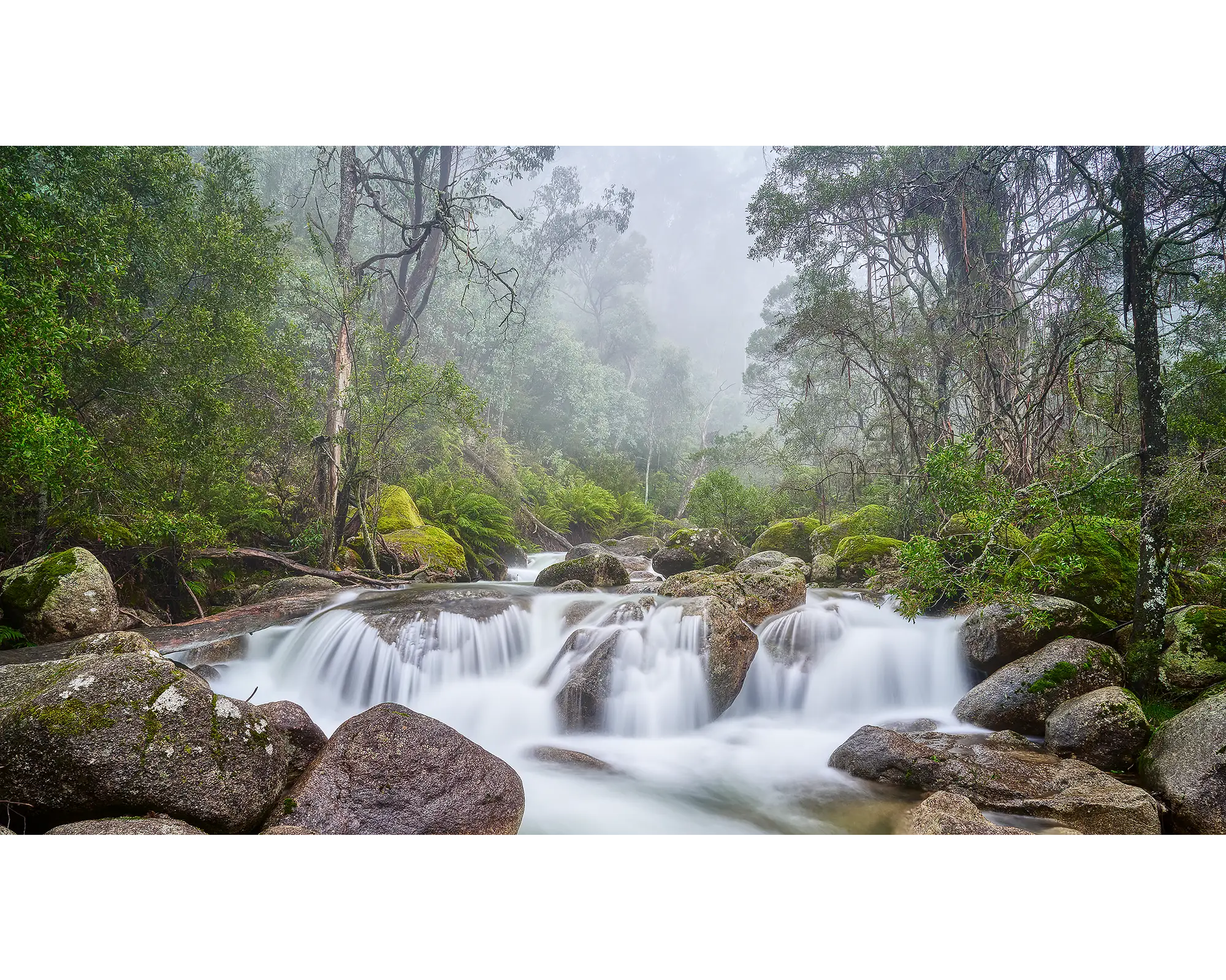 Buffalo Cascade - Fog over waterfall, Eurbon Creek, Mount Buffalo National Park, Victoria.