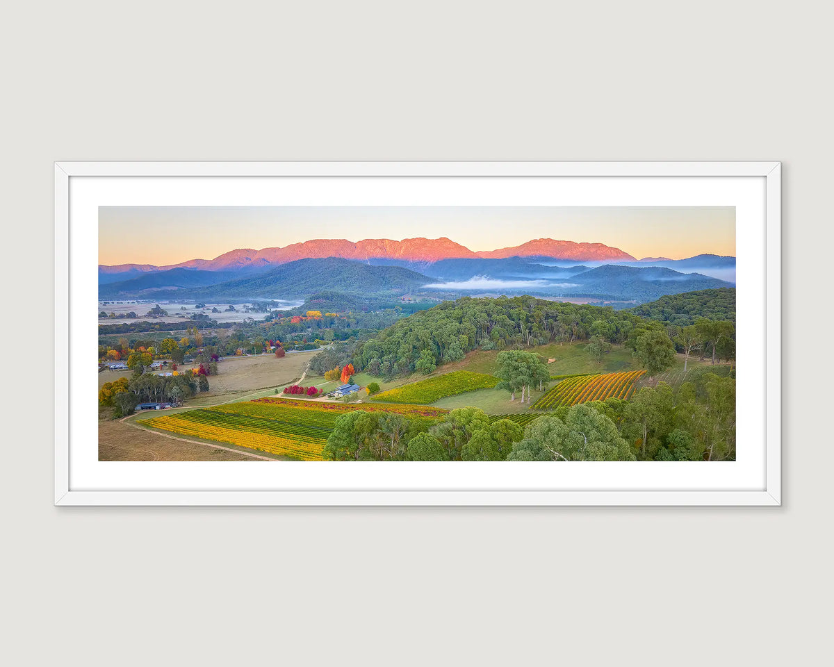 Framed photograph of autumn leaves turning red at Ringer Reef winery with Mount Buffalo on the horizon. 