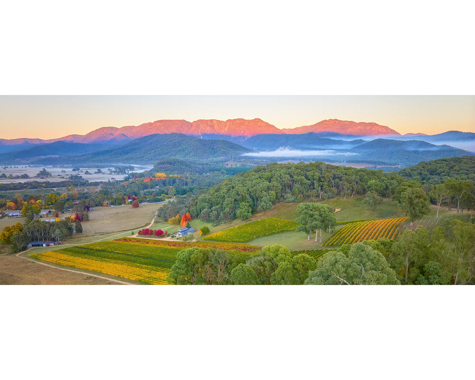 Ringer Reef winery views to Mount Buffalo at sunrise.